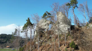 Elefant von Geristein