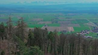 So langsam geht der Winter zu Ende und der Frühling ist da 🌼