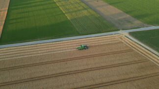 Ein Mähdrescher bei der Arbeit im Seeländer Moos